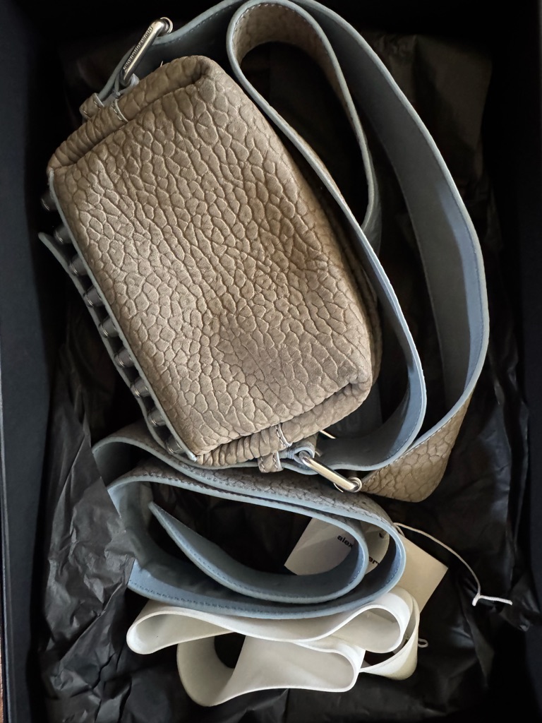 Alexander Wang Ricco Bag Silver Studs Textured Leather + Extra Strap